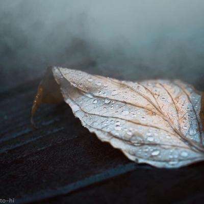 愤怒的小鸟运货车